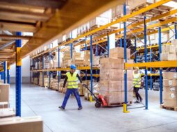 supply chain management